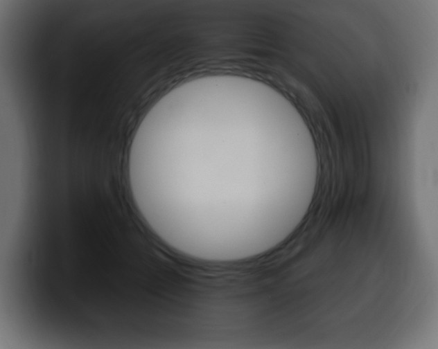 X0000100390558200806060836