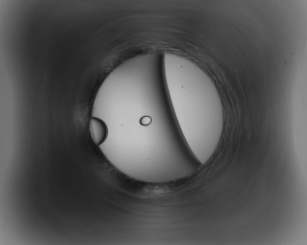 X0000100390559200806060836