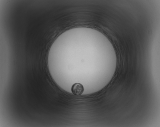 X0000100390560200806060836