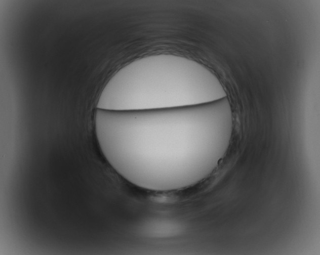 X0000100390561200806060836