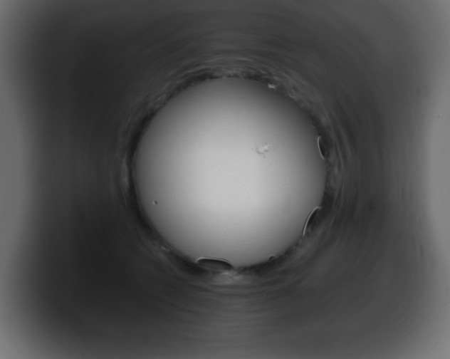 X0000100390562200806060836
