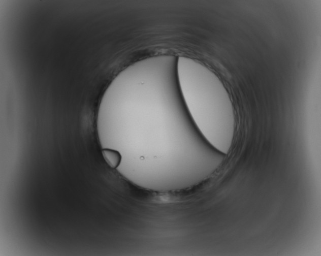 X0000100390565200806060836