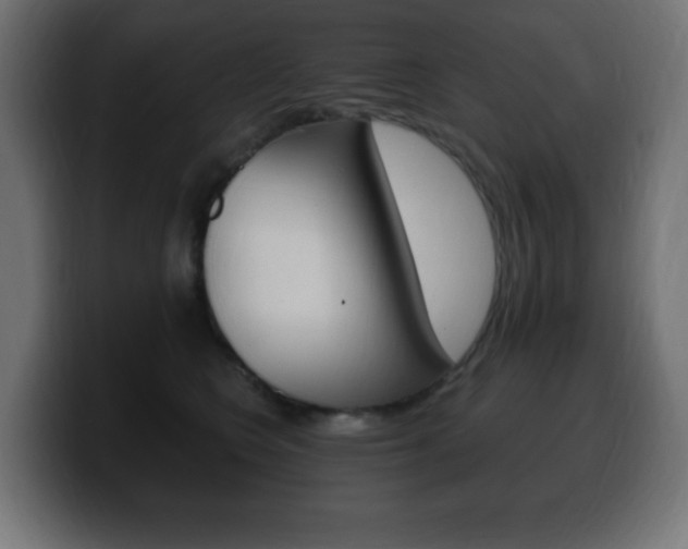 X0000100390566200806060836