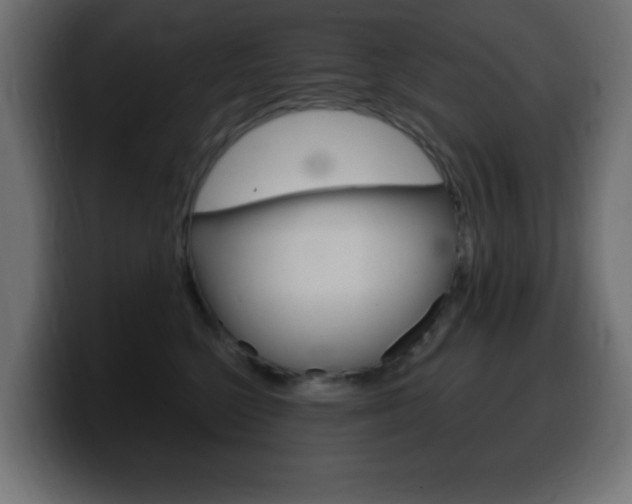 X0000100390568200806060836
