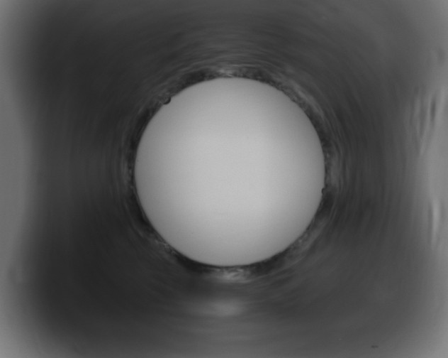 X0000100390569200806060836