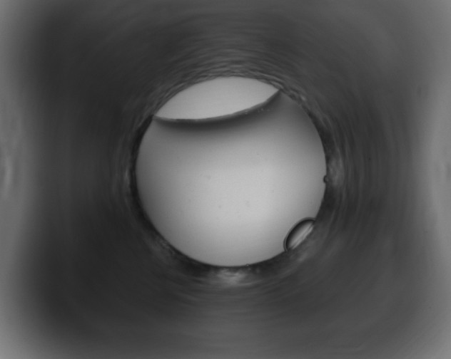 X0000100390570200806060836