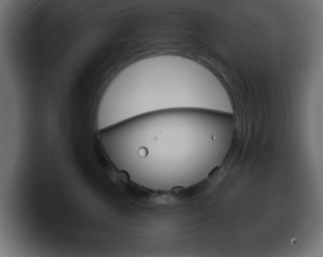 X0000100390572200806060836