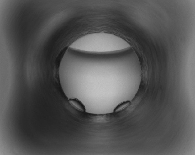 X0000100390574200806060836