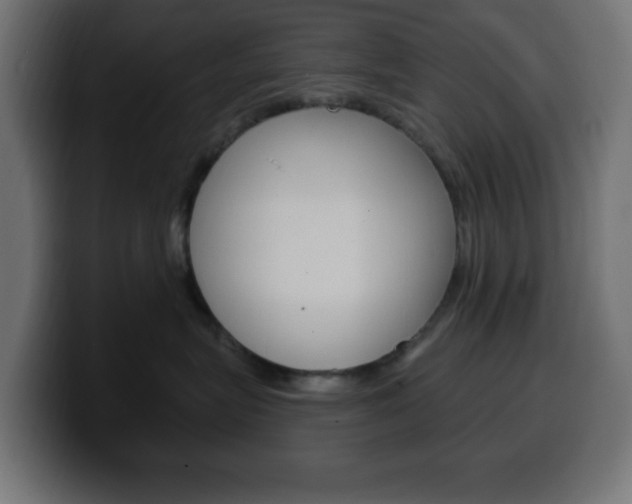 X0000100390575200806060836