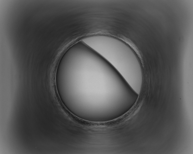 X0000100390577200806060835