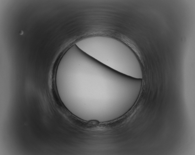 X0000100390578200806060835