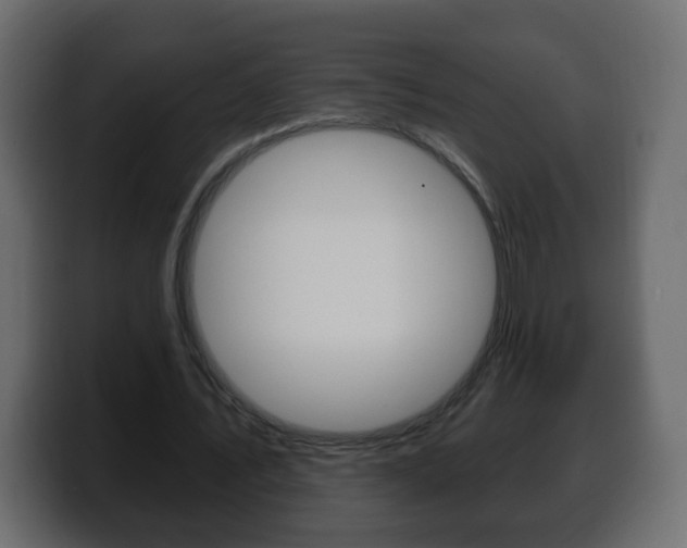 X0000100390579200806060835