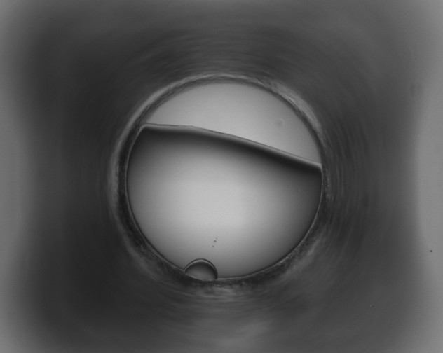 X0000100390580200806060835
