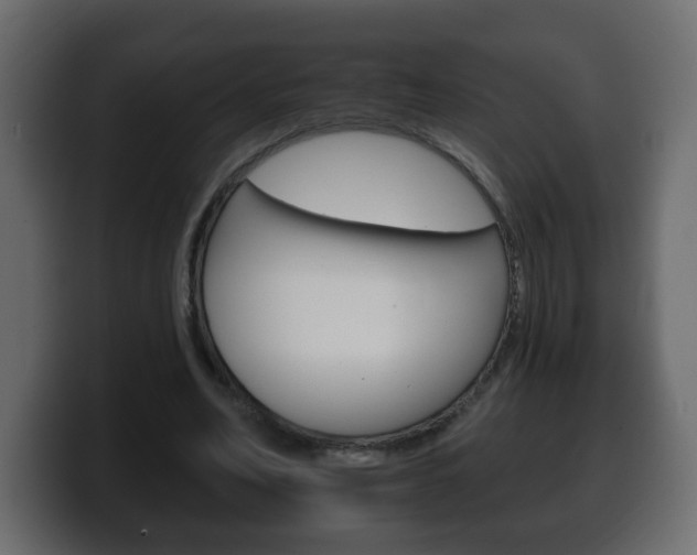 X0000100390582200806060835