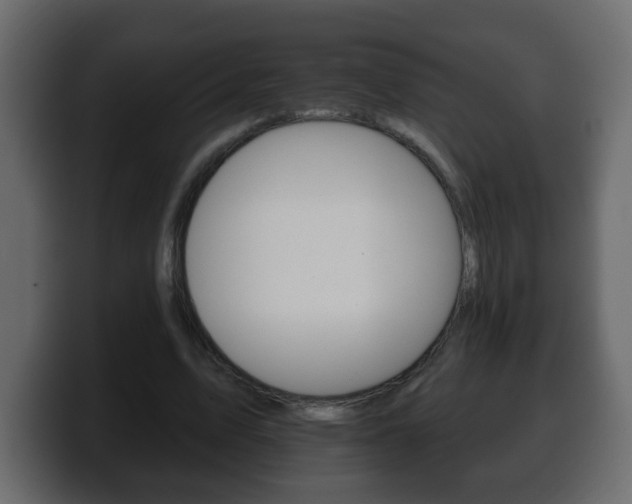 X0000100390583200806060835
