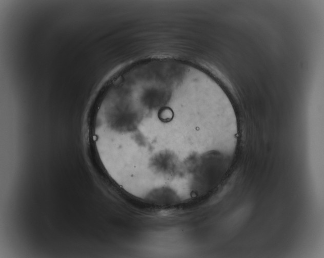 X0000100390584200806060835