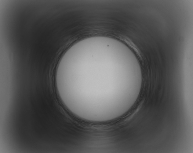 X0000100390585200806060835