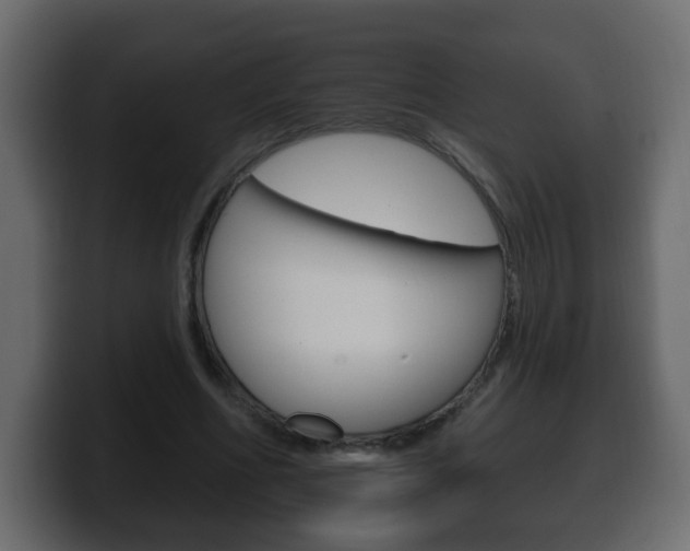 X0000100390586200806060835