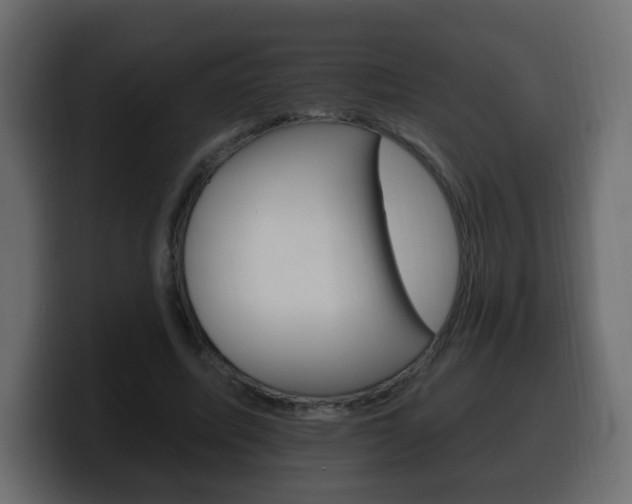 X0000100390587200806060835