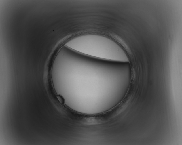 X0000100390588200806060835