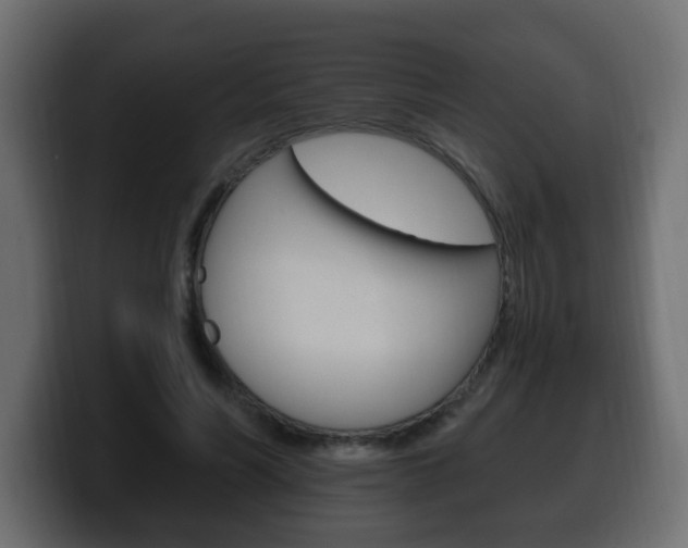 X0000100390590200806060835