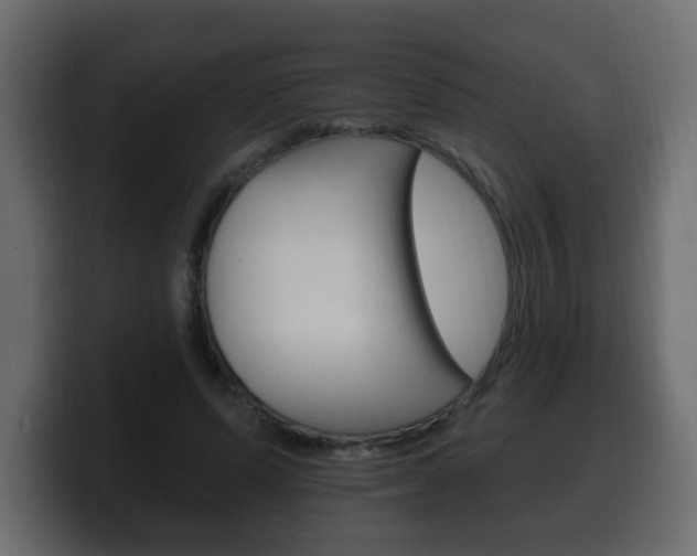 X0000100390591200806060835