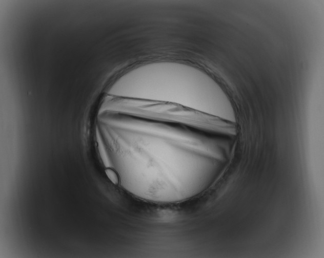 X0000100390592200806060835