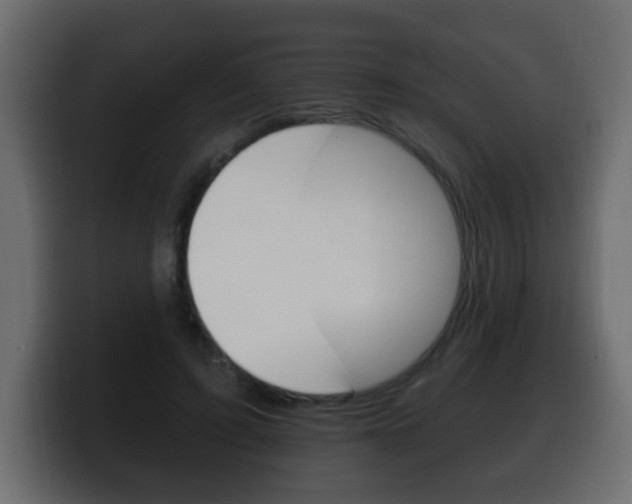 X0000100390595200806060835