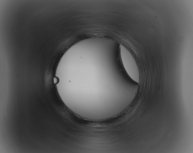 X0000100390597200806060835