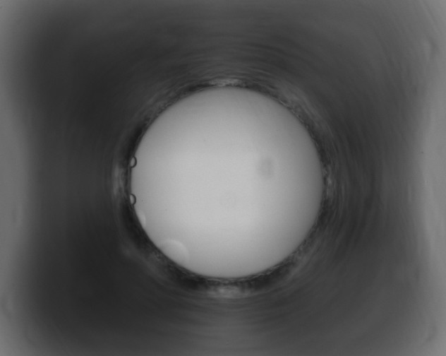 X0000100390598200806060835