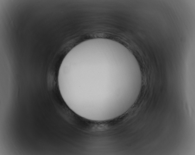 X0000100390599200806060835