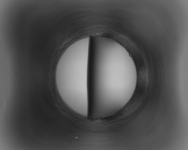 X0000100390600200806060835