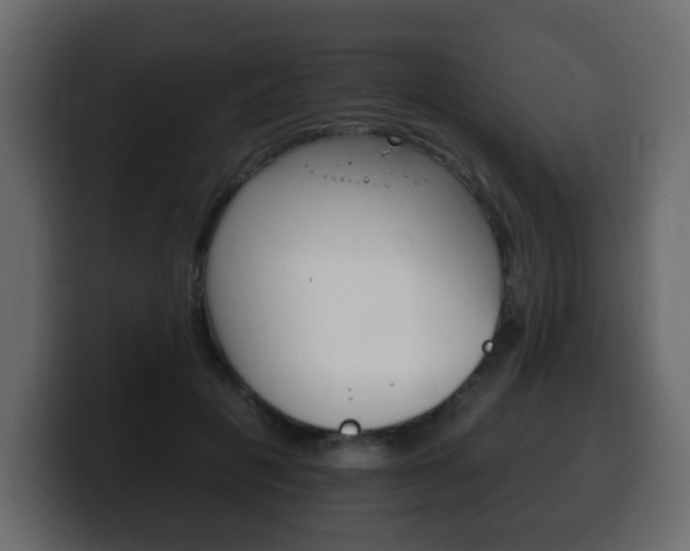 X0000100390601200806060835