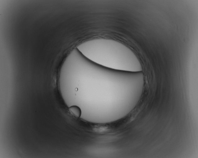 X0000100390602200806060835