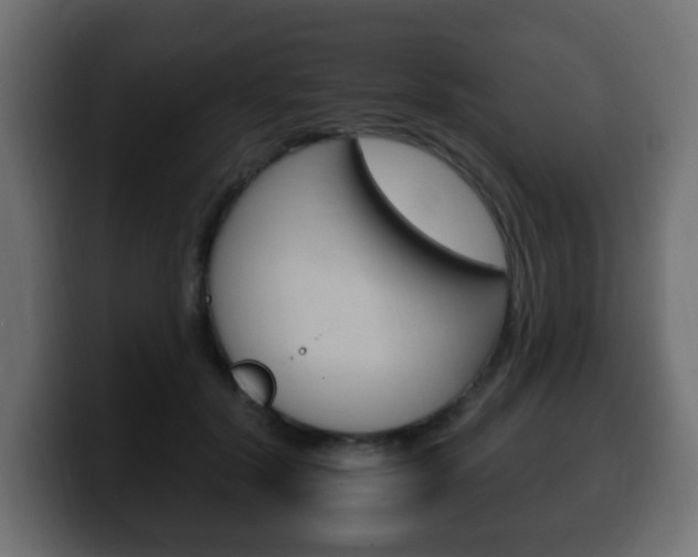 X0000100390604200806060835