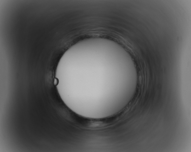 X0000100390605200806060835