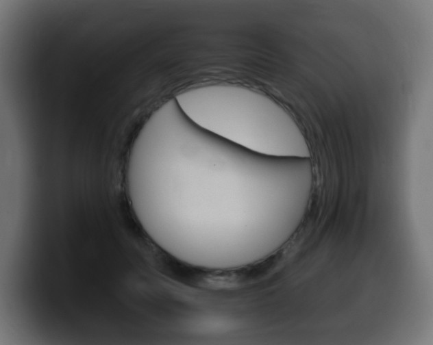 X0000100390606200806060835