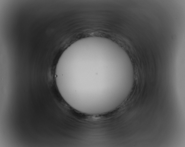 X0000100390607200806060835