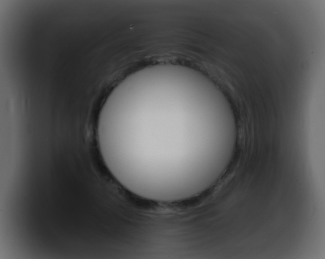 X0000100390608200806060835