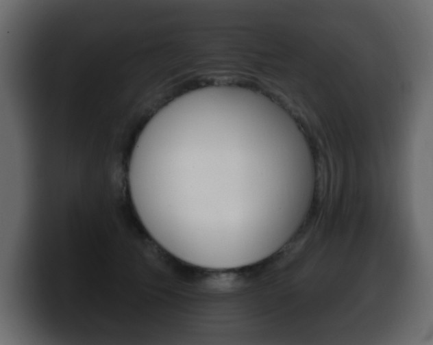 X0000100390609200806060835