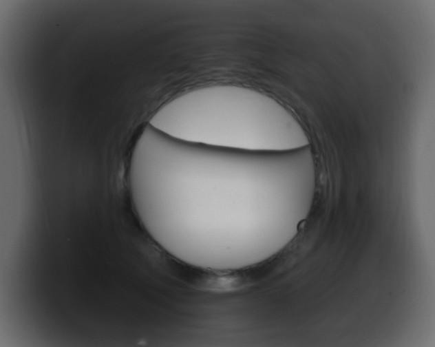 X0000100390610200806060835