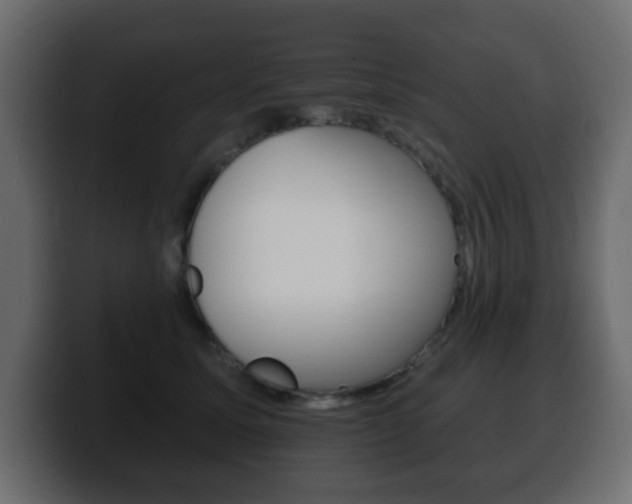 X0000100390611200806060835