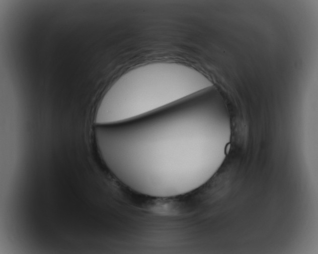 X0000100390612200806060835