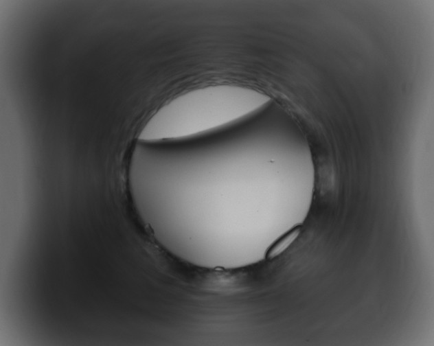 X0000100390613200806060835