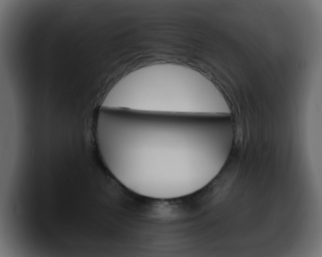 X0000100390616200806060835