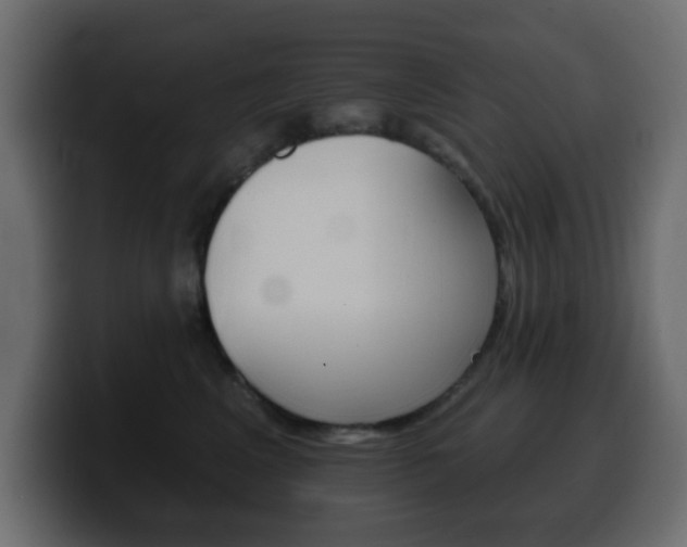X0000100390617200806060835