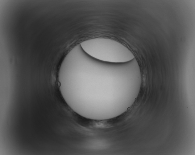X0000100390618200806060835