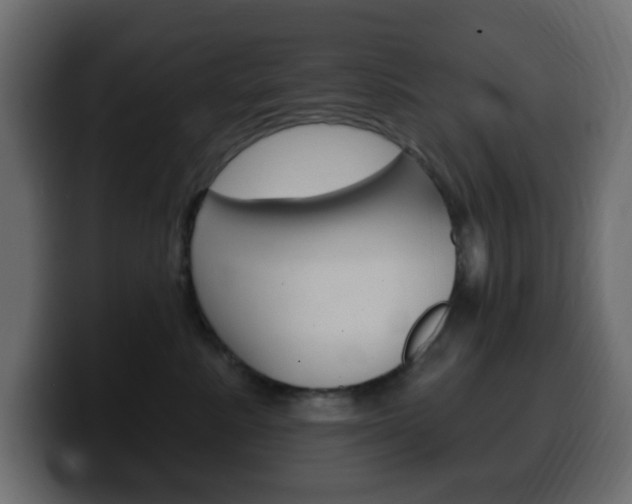 X0000100390619200806060835