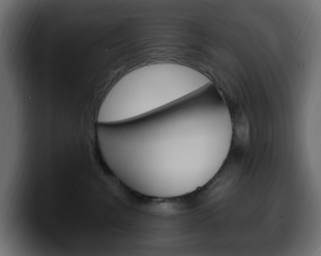 X0000100390620200806060835