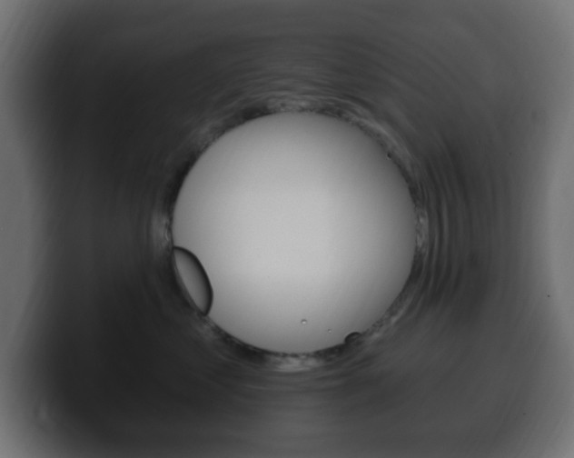 X0000100390621200806060835